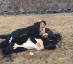 哪种颜色的裤子穿多了会反光,反光裤子在什么情况下反光