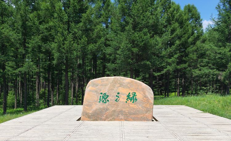 美丽的高岭塞罕坝,美丽的高岭朗诵