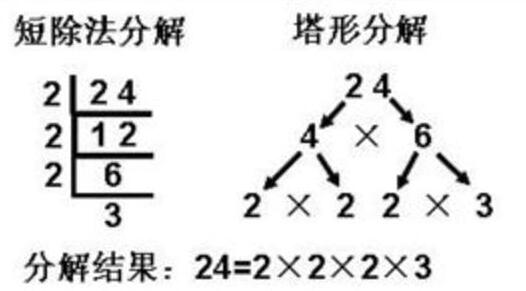 初中数学因式分解最全方法归纳,初二上数学因式分解入门教程