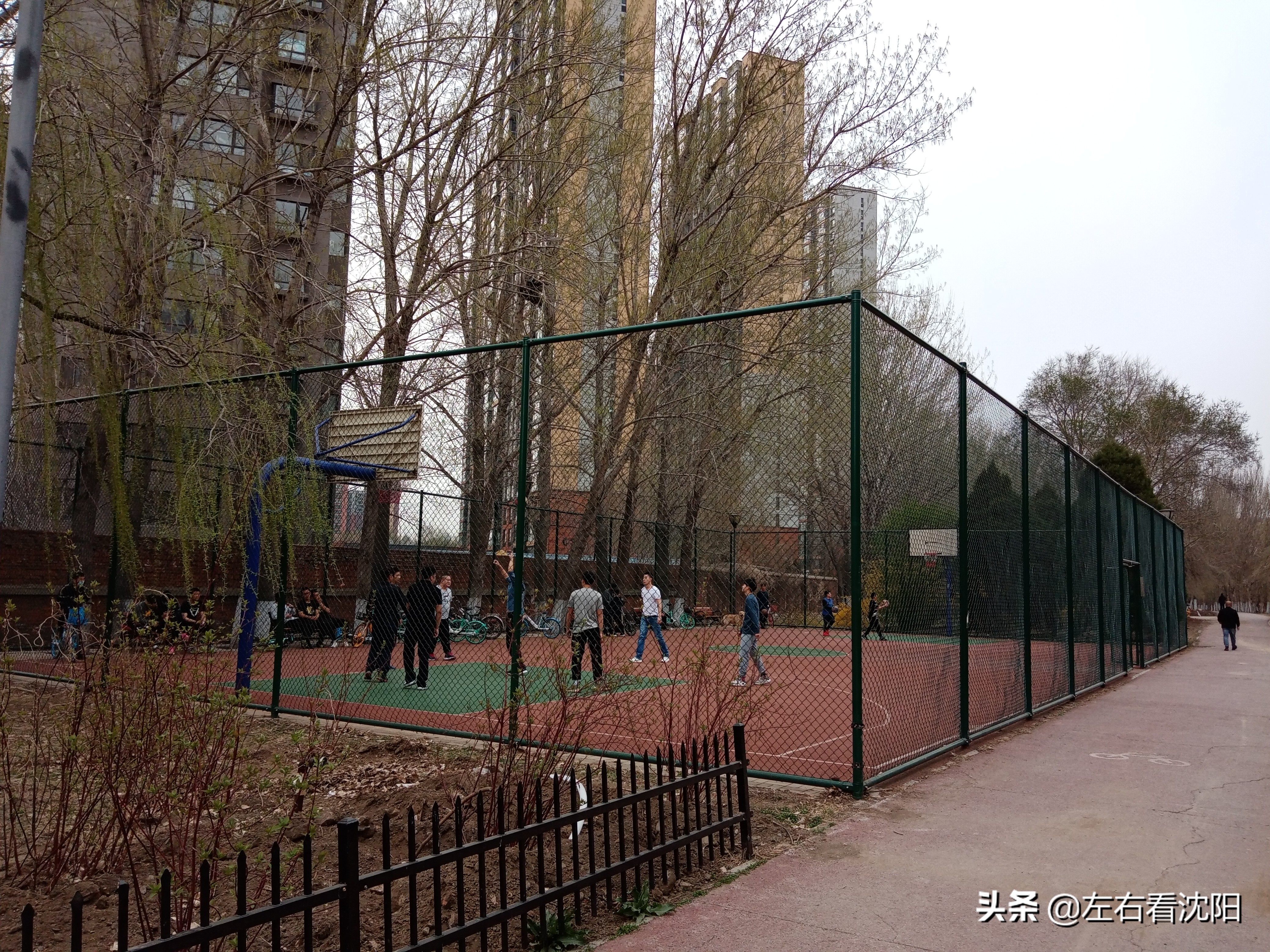 沈阳黎明公园,沈阳大东区黎明公园