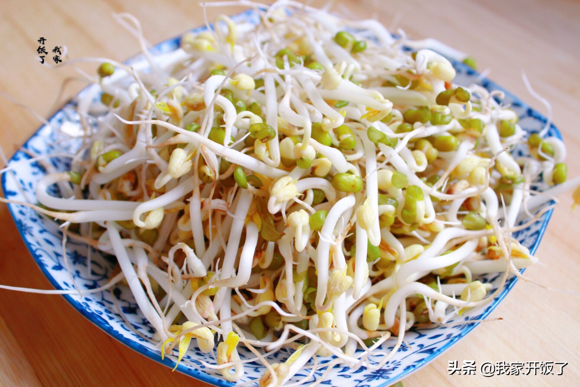 宅在家里学技能，教你发豆芽，掌握3个要点，零失败，随吃随种