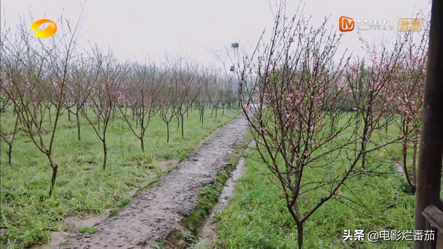 向往的生活2023会完结吗,向往的生活第七季怎么停更了