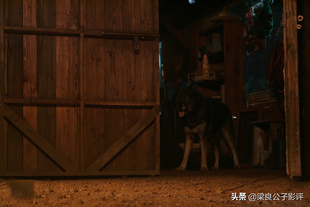 《嚎叫》：新人女刑警，接手奇案，她能破案吗？