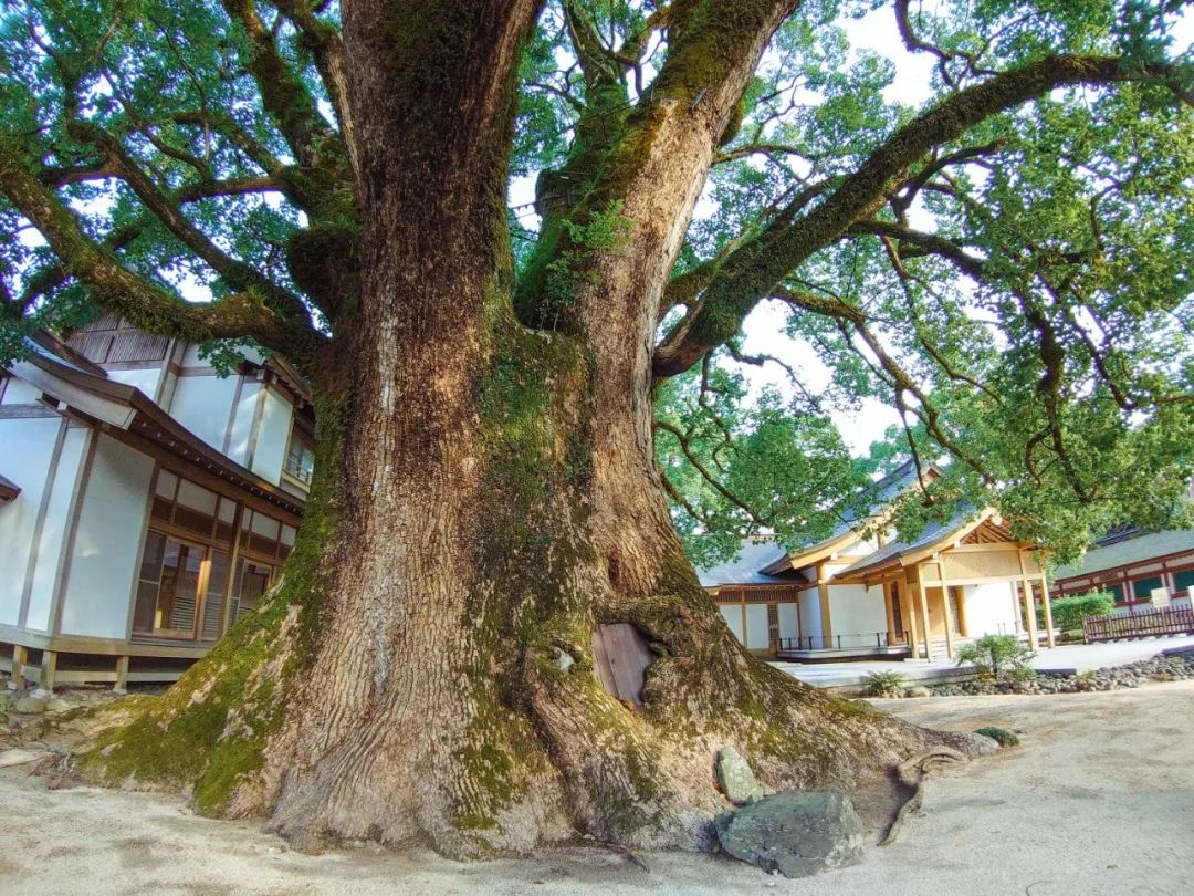 绱㈠凹xperia1鍦ㄦ棩鏈殑鍞环,绱㈠凹xperia1鏃ユ湰