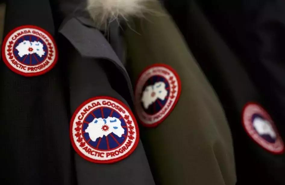 留学生注意！穿加拿大鹅危险了，有人专门抢穿鹅的亚洲人