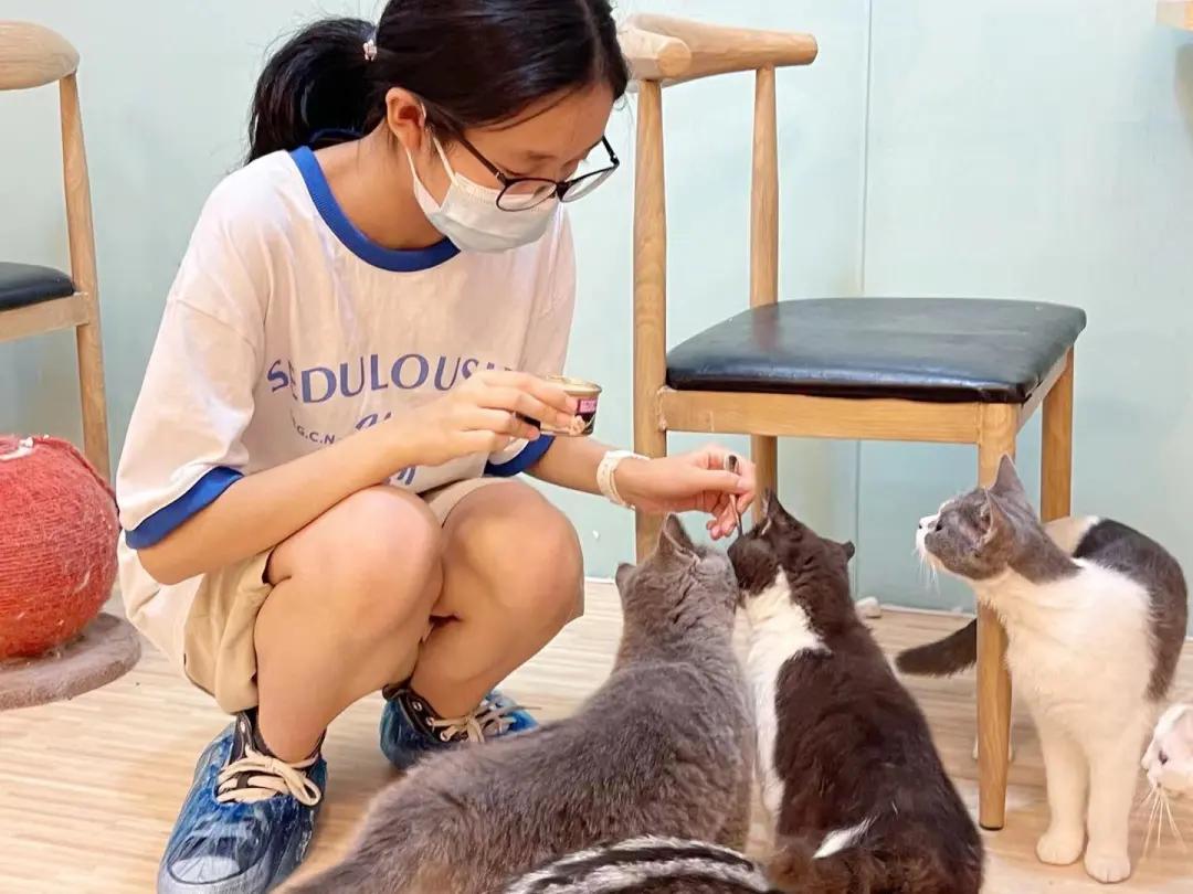 你还在躺平吗？喵星人都出来打工啦