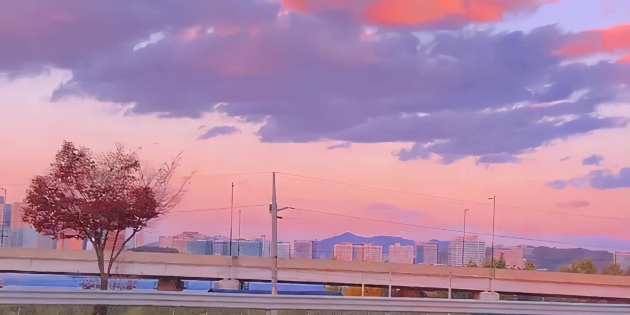 不要重感情的言情小说推荐,接近现实的言情小说推荐