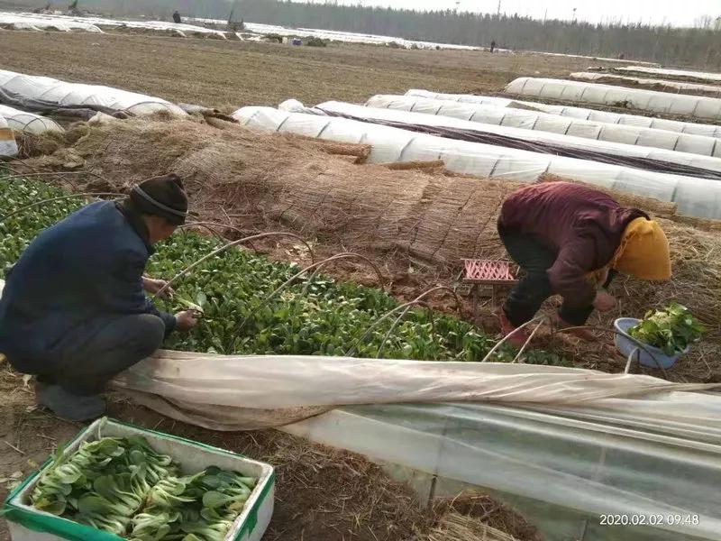 省妇联助力疫情防控,下沉红旗社区助力疫情防控