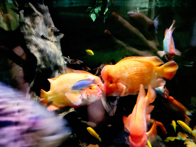 带你看不一样的迪拜,带你感受不一样的迪拜