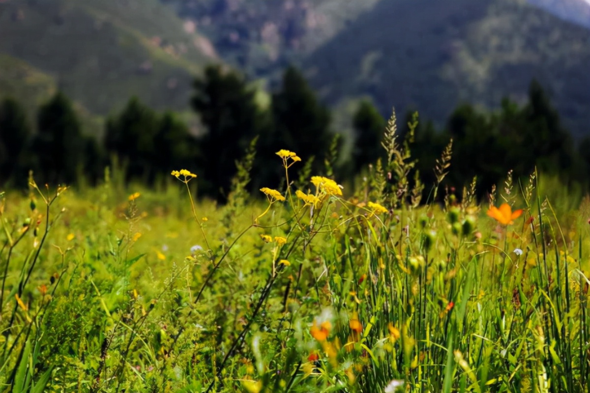 北京秋天小众打卡地点推荐,北京的小众村落