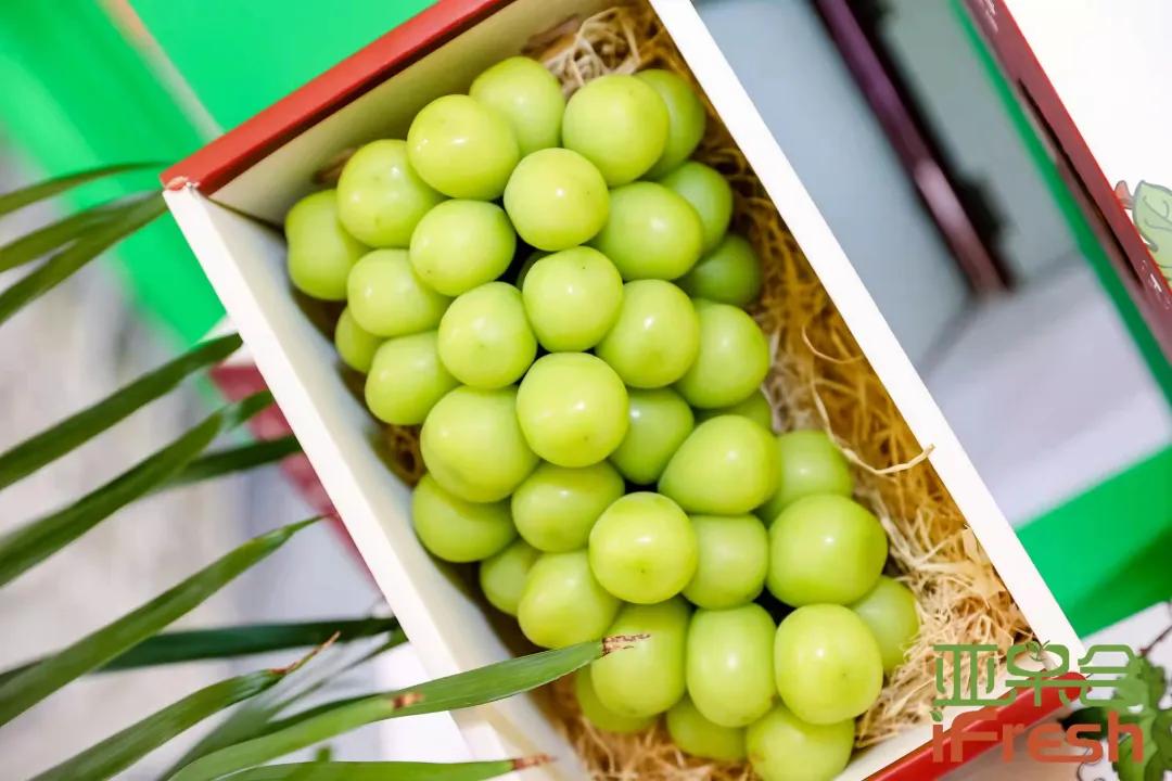 ifresh上海果蔬博览会,ifresh果蔬产业博览会