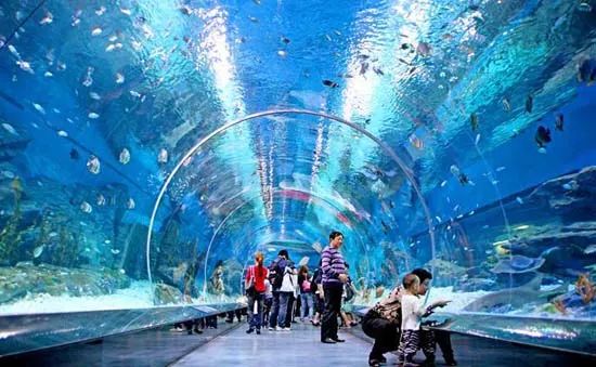 有了这份攻略,上海地铁直达景点