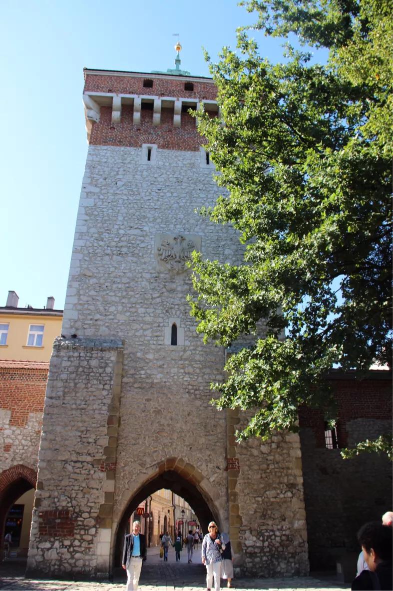 波兰克拉科夫古都,波兰克拉科夫大学