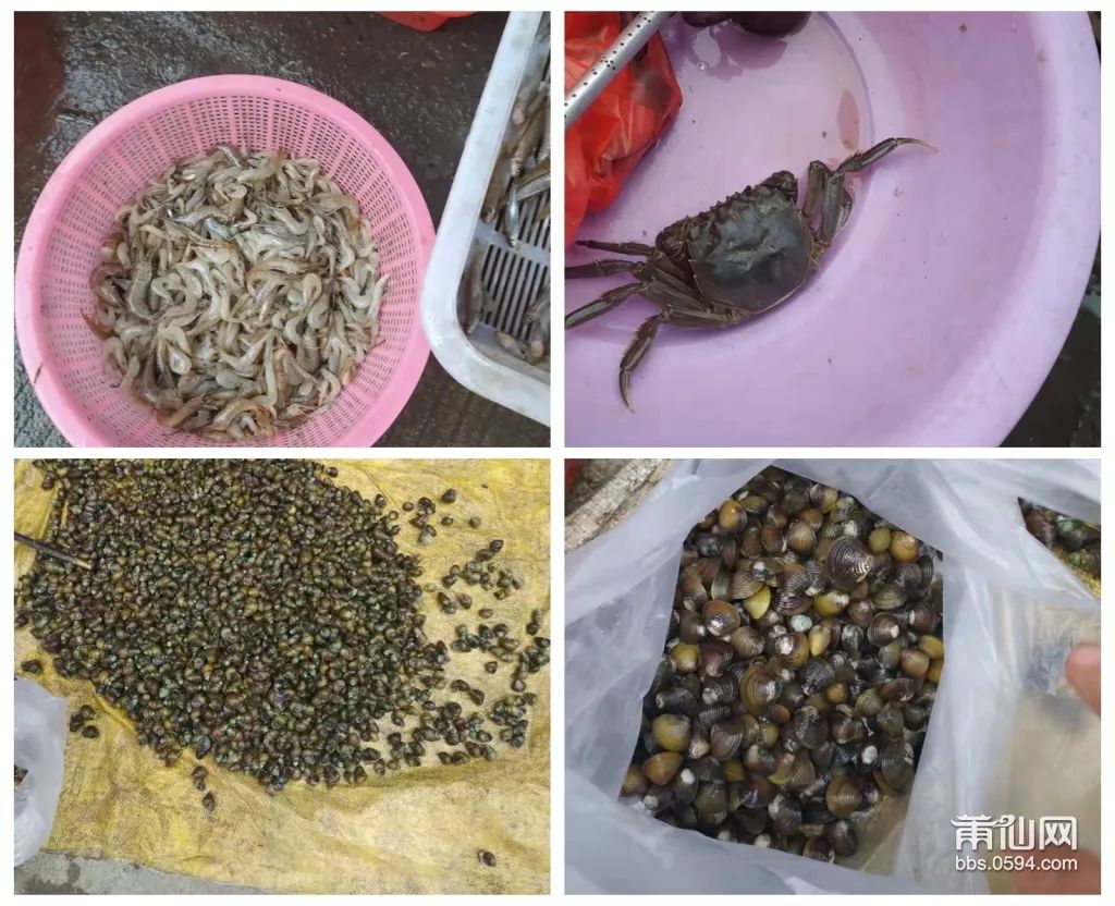 赚祖！这群莆田人靠着这些东西，就能日赚500块钱，厉害