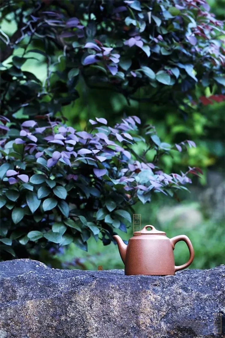 观|《衡天》施小马