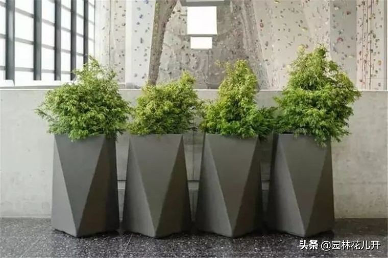 阳台花箱景观设计,景观花架花箱设计