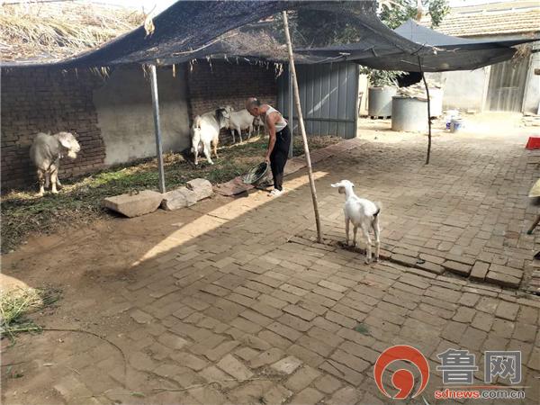 一户一策一表精准脱贫方案,一户一策助力增收