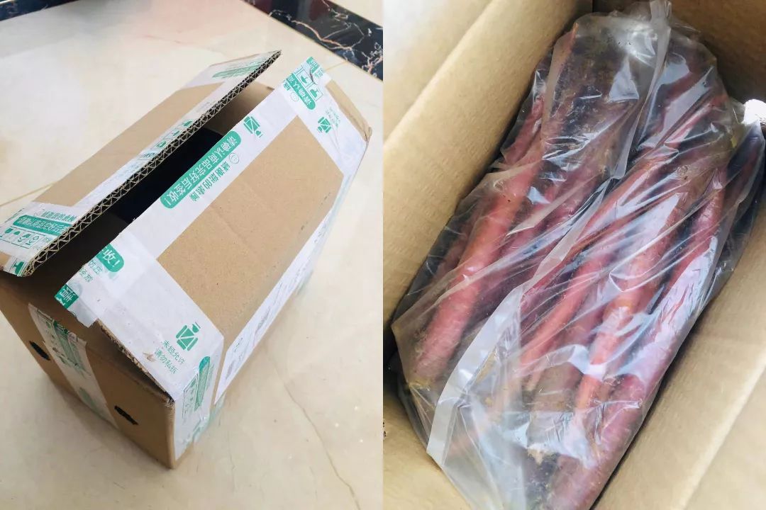 花青素甜脆萝卜,维c含量高的野果