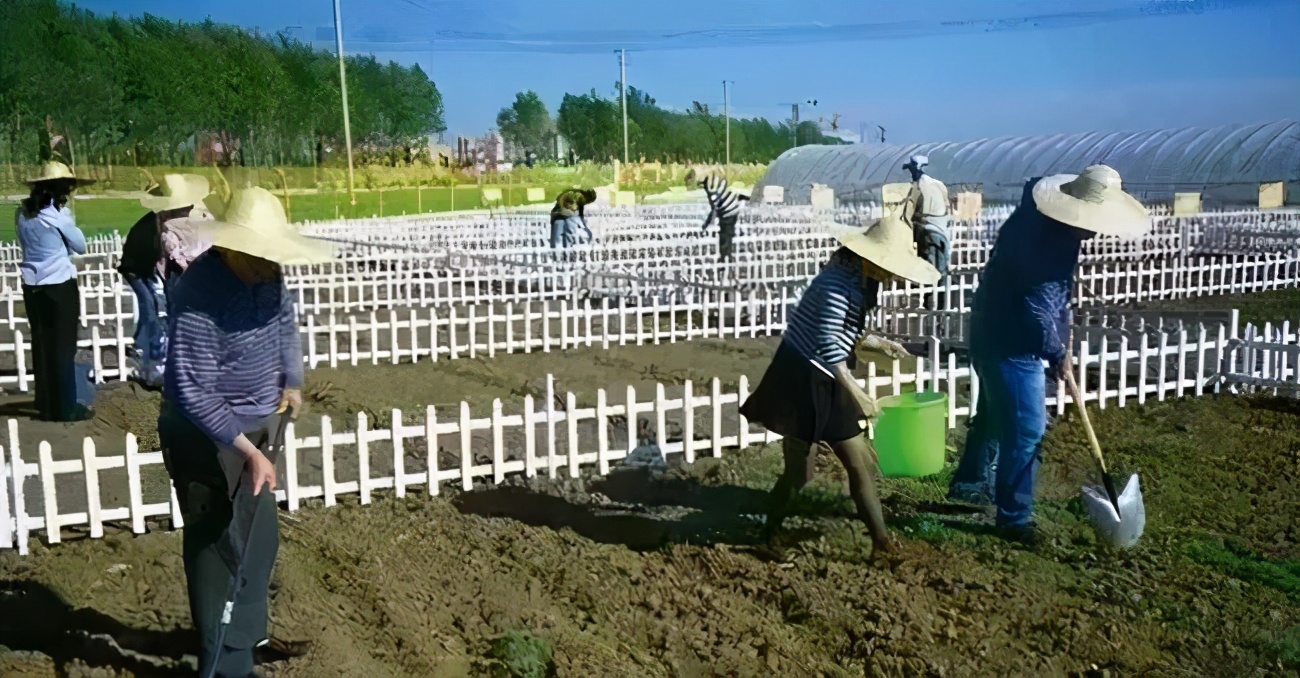 推动数字农业发展依靠哪些技术,数字农业创新应用基地规划方案