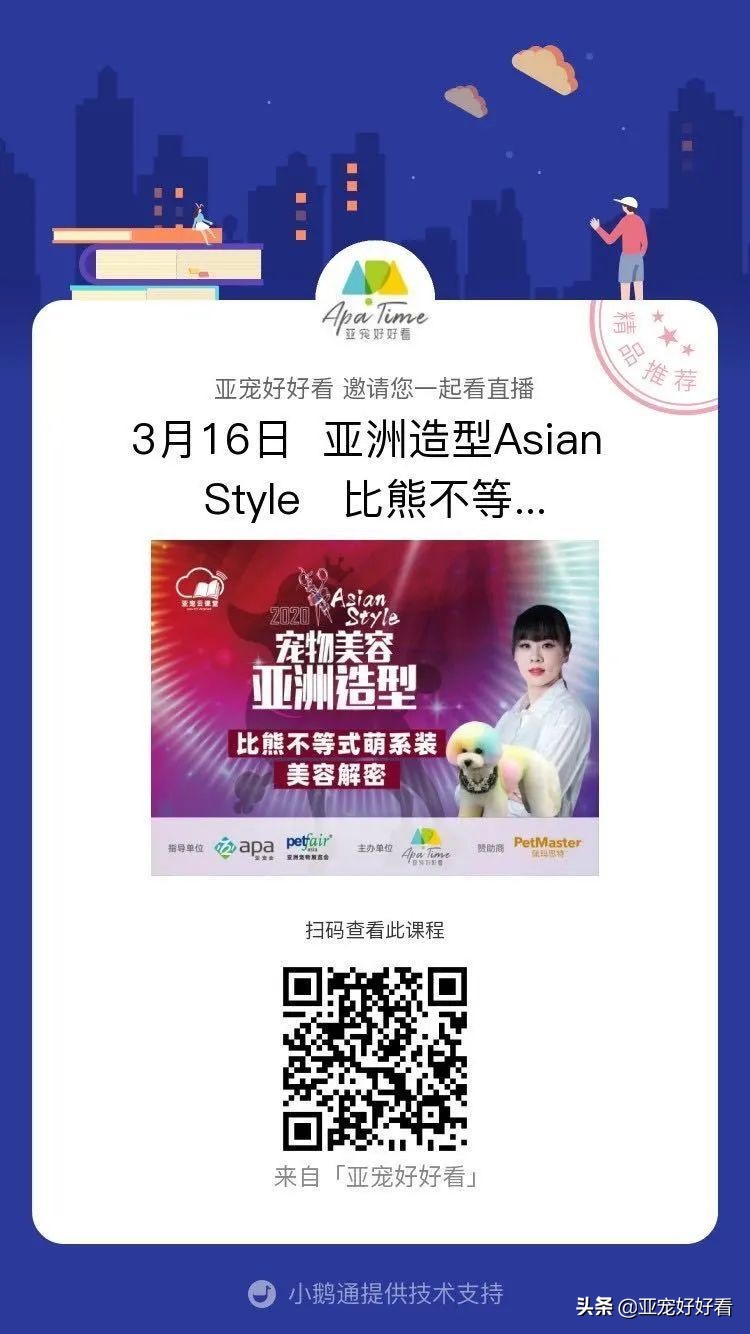 亚宠云课堂,比熊犬赛级妆造型