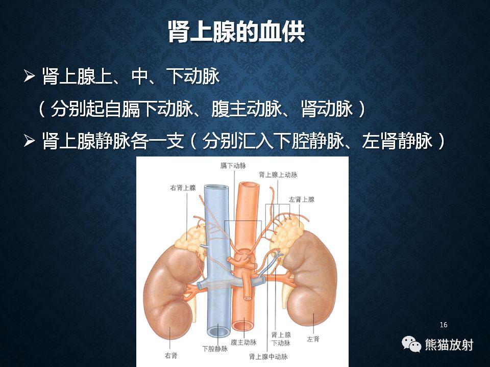 纵隔和肾上腺恶性肿瘤,纵隔性肿瘤位置图
