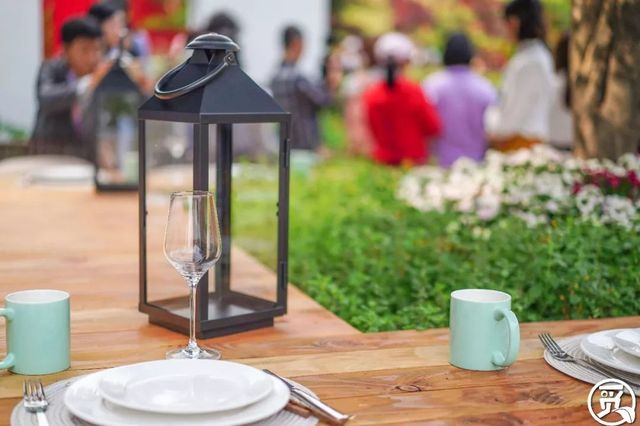 深圳史上最大最美的花展来啦,走进深圳仙湖植物园的国际花展