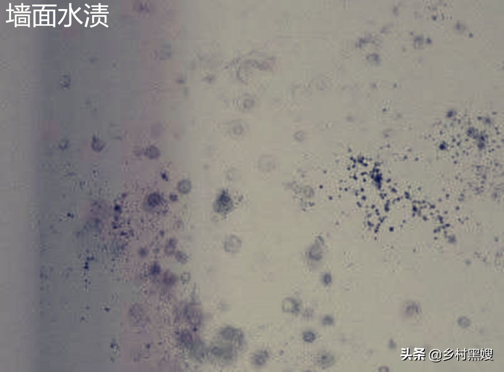 自建房外墙总有一天会渗水吗,自建房墙壁渗水怎么回事