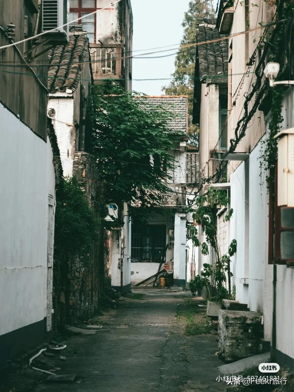 榛勭鎷嶆垙鍙ら晣,娴欐睙杩欎釜鍋忓兓鐨勫皬鍘垮煄