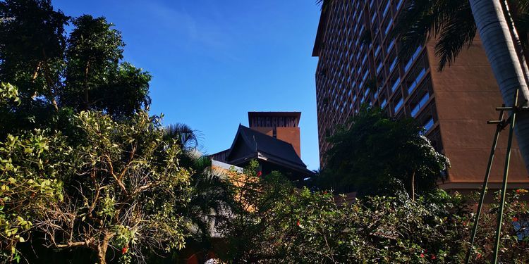 三亚红树林有亲子活动,三亚红树林和海韵