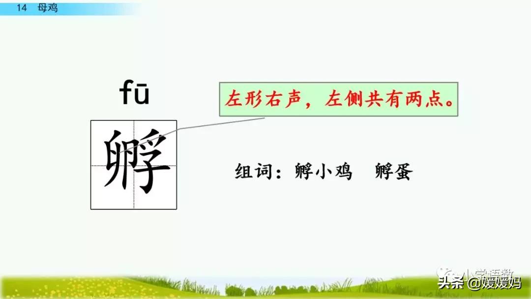 四年级下册第13课小练笔仿写母鸡,四年级下册14课母鸡的预习完整版