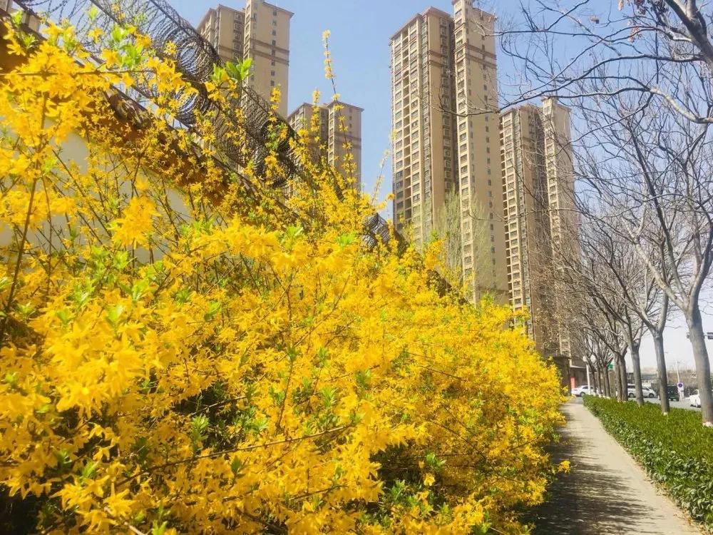 中南广场二期十号楼,中南广场两梯