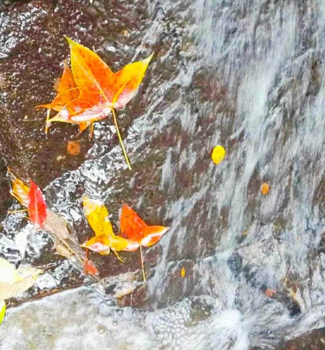 李白写景十大巅峰佳作,李白最经典的山水诗句