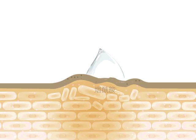 郑恺李佳琦,郑恺同款贴纸