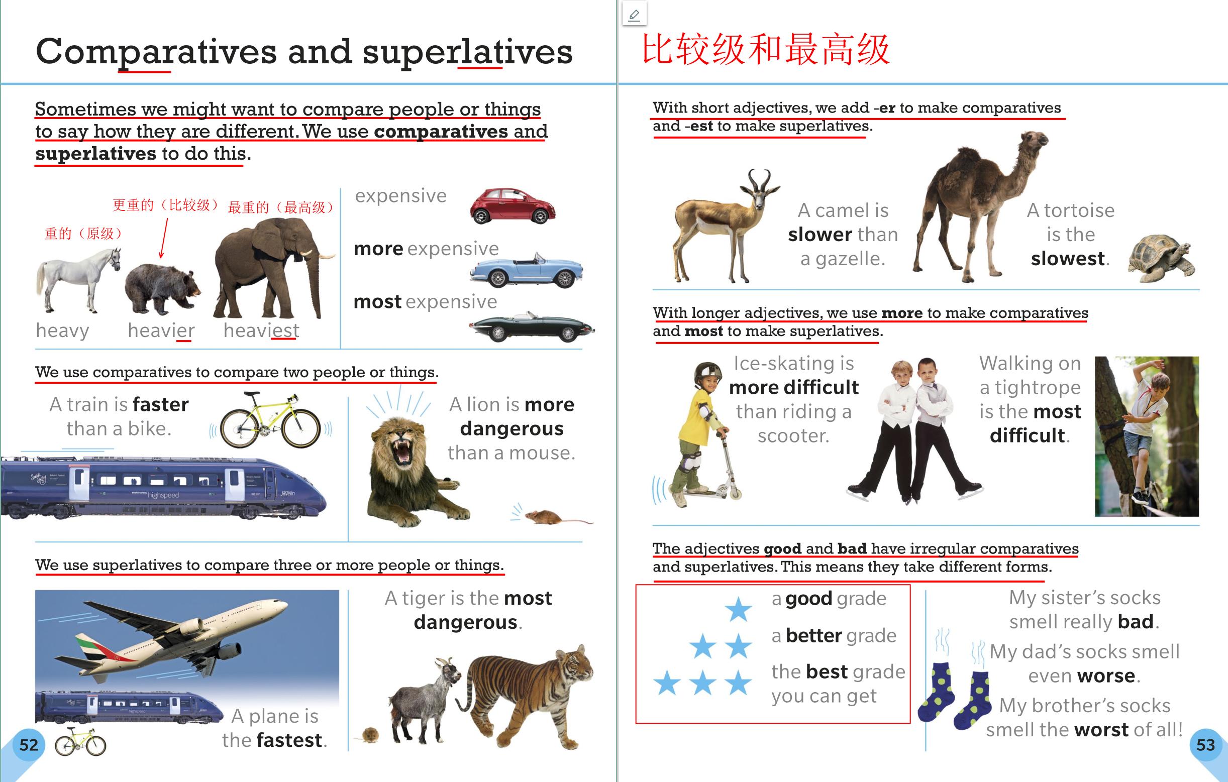 中考英语词义辨析积累大全,中考英语中阅读理解常用单词短语