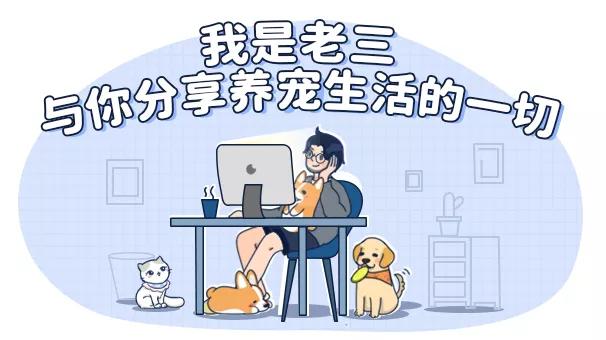 猫狗常用药品大全,猫狗必备药