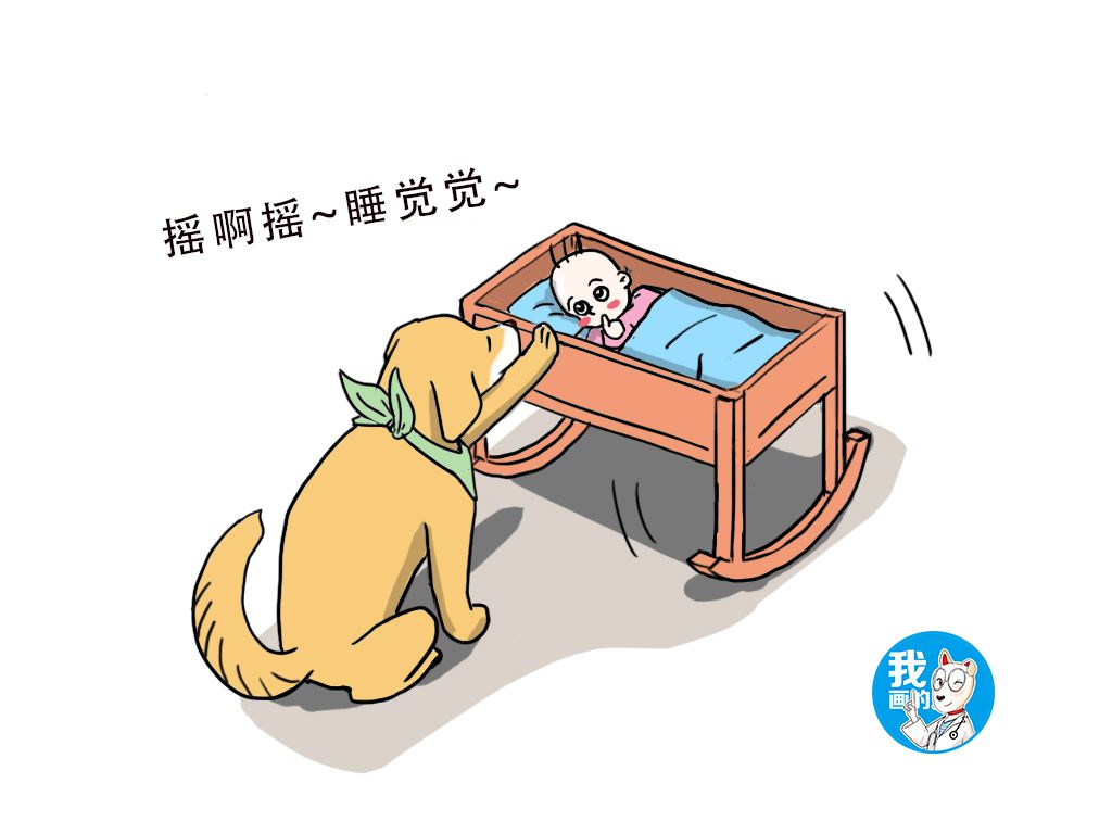 养狗遛狗能降低血压吗,养狗治好低血压