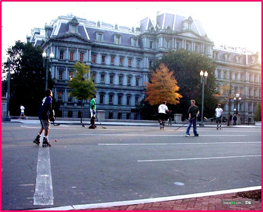 单排轮滑简介,单排轮滑球的介绍