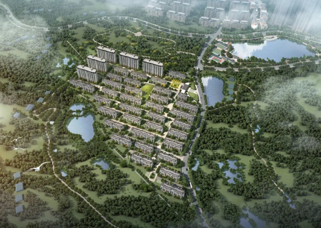 洋沙湖叠墅值得买吗,洋沙湖别墅效果图