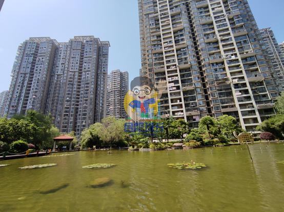 滨湖世纪城徽杰苑便宜,滨湖二手房急售哪家靠谱