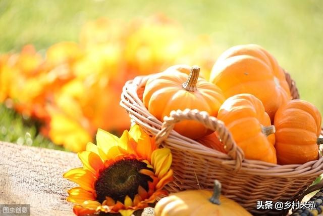 南瓜落花落果怎么防治,南瓜结果出现了化果落果怎么办