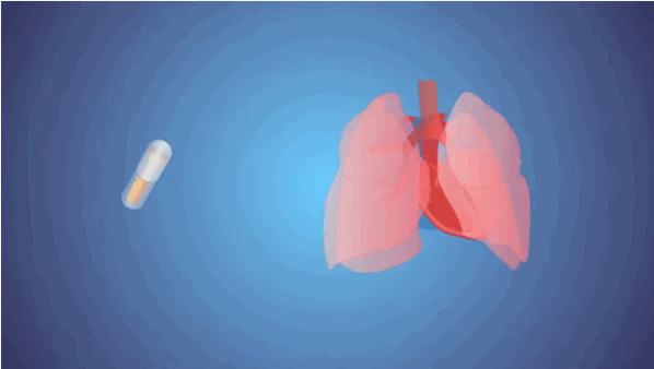 手机揣裤兜会杀精？电量越低辐射越大？还让不让人愉快地玩手机了