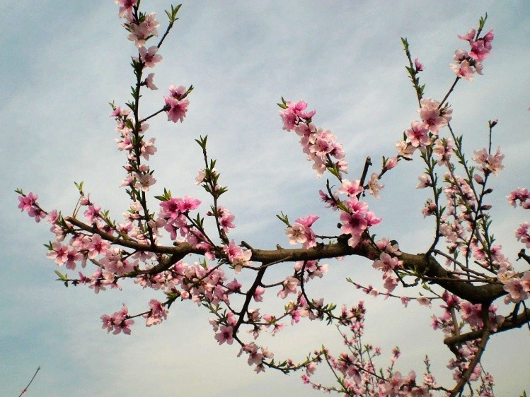 你同情KTV的小姐吗?也许你错了……