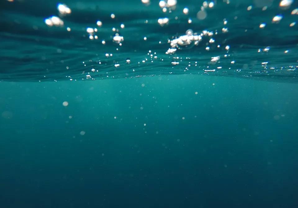 辉安化工｜探索硅藻土神秘的助滤力量，为青山绿水护航