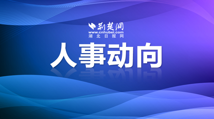 马国强辞去武汉市人大常委会主任职务，湖北最新人事动态
