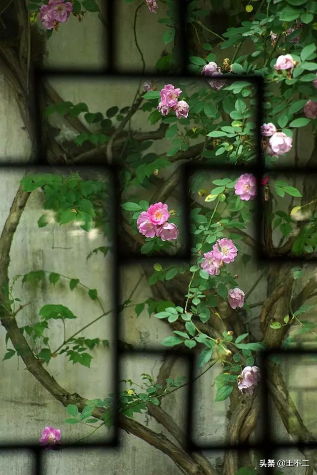 远赴人间盛宴谈笑风生不动情,远赴人间惊鸿宴谈笑风生不动情