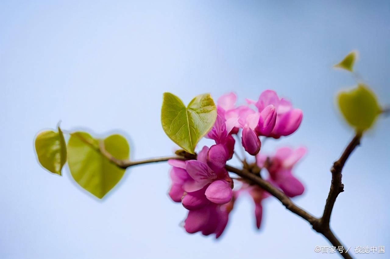 对待学习要用心,对待学习怎么样