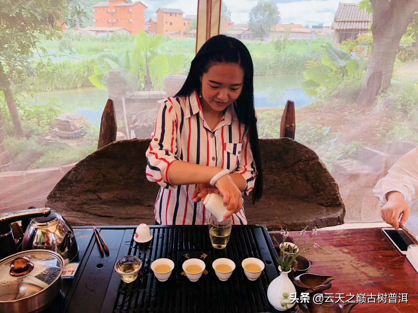 如果主人倒茶给你你不喝怎么说,主人问你茶好不好喝怎么回答