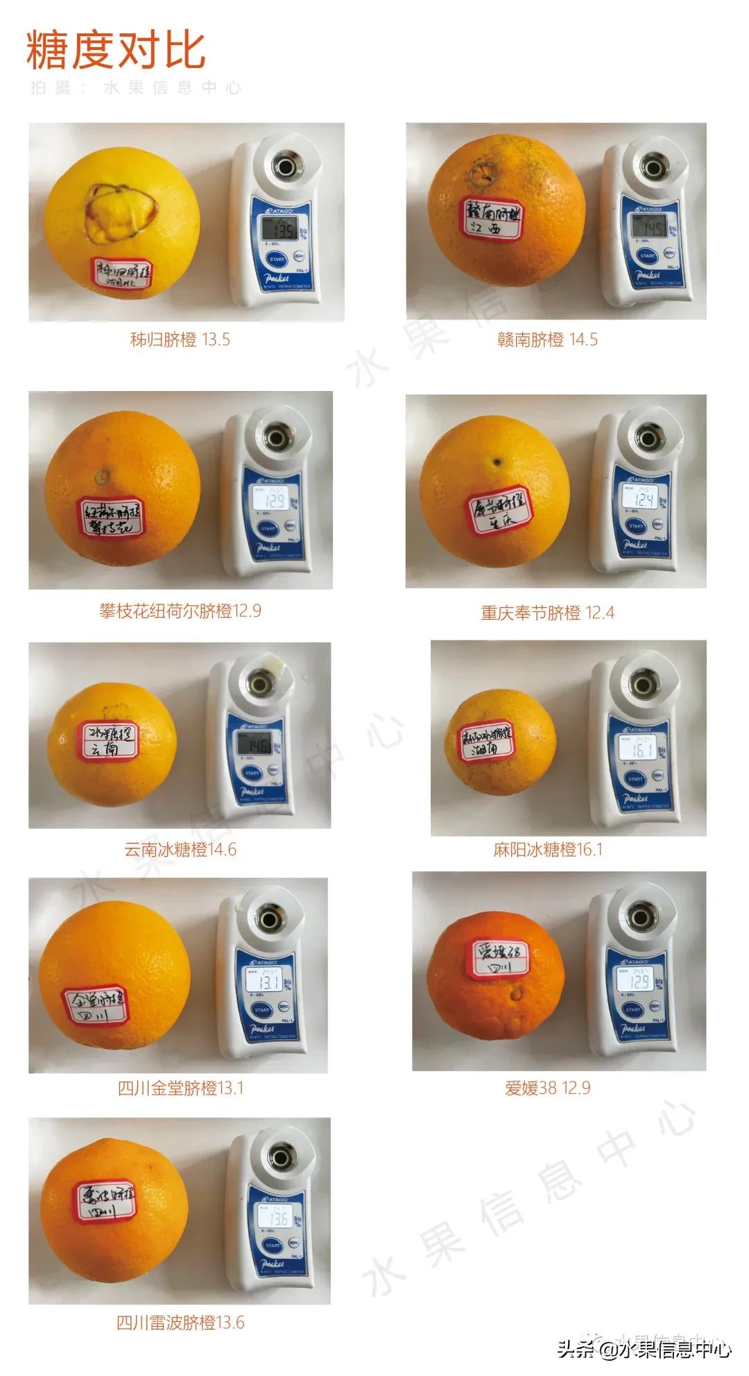 9种橙子测评,正宗秭归脐橙湖北橙子