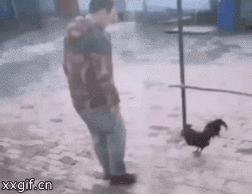 吃火锅搞笑瞬间,吃火锅搞笑图蘑菇头