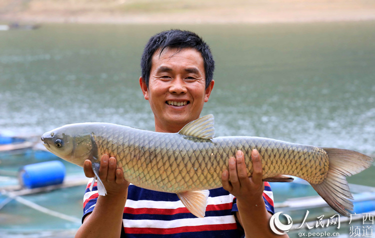 贫困户养鱼脱贫致富,村书记带领稻田养鱼致富增收